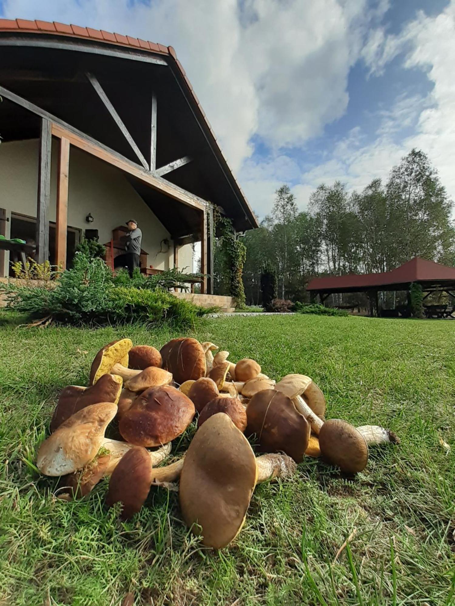 Przytulisko Stara Kiszewa Villa Exterior foto